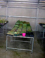 Greenhouse-Bench