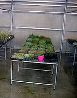 Greenhouse-Bench