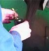 SMALL_POTS_AND_PLANT_BAGS_