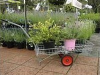 Retail nursery trolley (915 × 457mm) Retail nursery trolley (915 × 457mm)