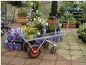 Rail top 4 wheeled barrow (1210 × 610)