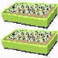 Steam Pasteurisation Information