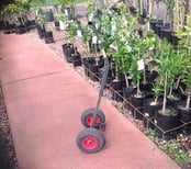 Hand-Trolley-in-Nursery.jpg