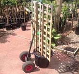 Hand-Trolley-with-Potted-Tree.jpg