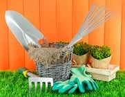 gardening tools and equipment