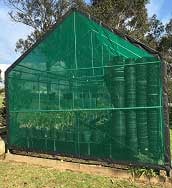 Shade-house-in-Nursery