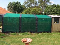 Shade-house-with-shade-loving-plants-inside