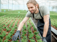 improving-nursery-potting