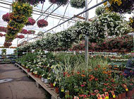 nursery-and-gardening-supplier-in-Australia