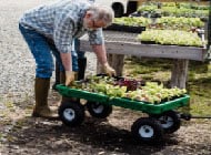 Plant trolley best sale